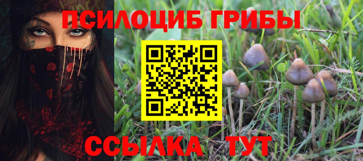 Галлюциногенные грибы MAGIC MUSHROOMS Калуга